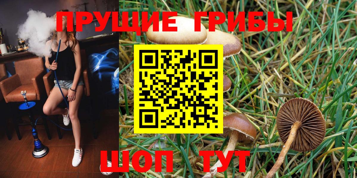 Галлюциногенные грибы MAGIC MUSHROOMS Янаул